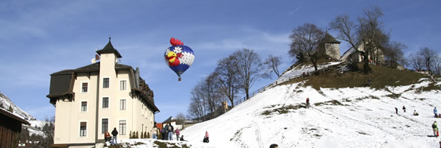 Chicken balloon